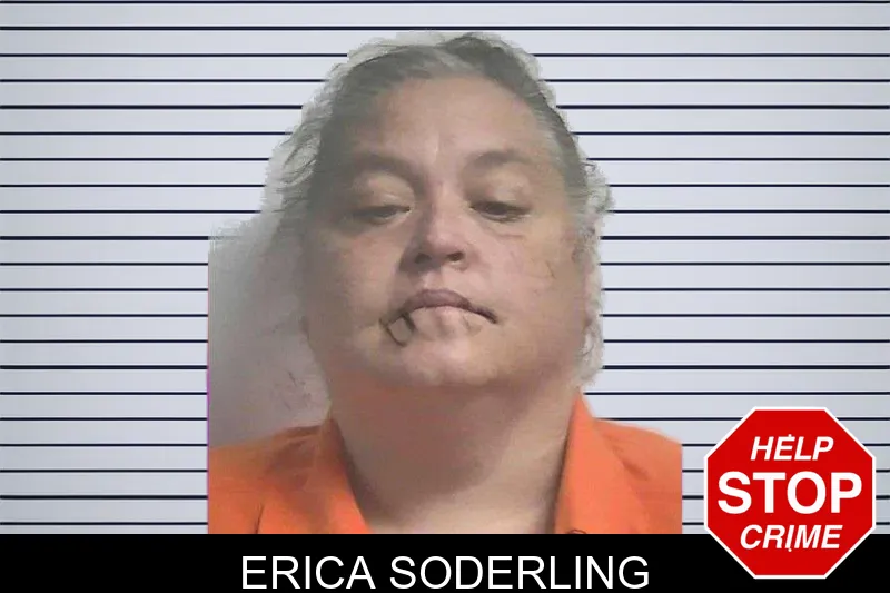Erica Soderling mugshot – Colquitt County , Georgia Erica Soderling mugshot