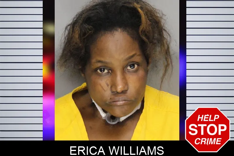 Erica Williams mugshot – Cobb County , Georgia Erica Williams mugshot