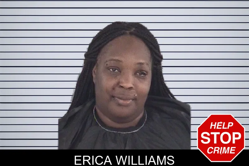 Erica Williams mugshot – Spalding County , Georgia Erica Williams mugshot