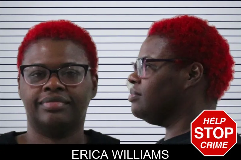 Erica Williams mugshot – Houston County , Georgia Erica Williams mugshot