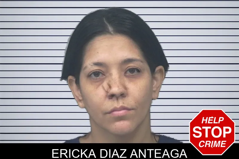 Ericka Diaz Anteaga mugshot – Gwinnett County , Georgia Ericka Diaz Anteaga mugshot