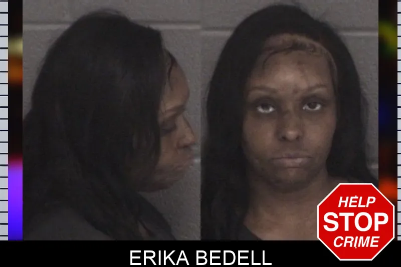 Erika Bedell mugshot – Barrow County , Georgia Erika Bedell mugshot