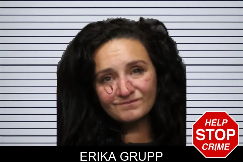 Erika Grupp mugshot – Forsyth County , Georgia Erika Grupp mugshot