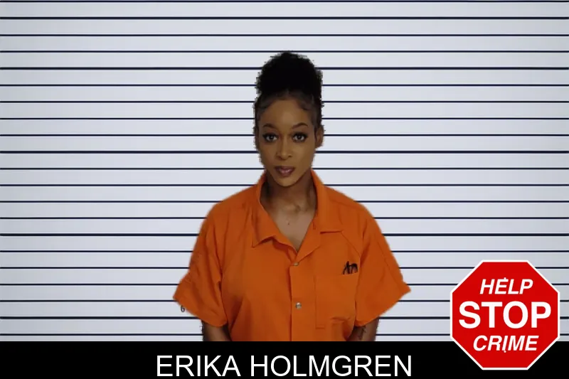 Erika Holmgren mugshot