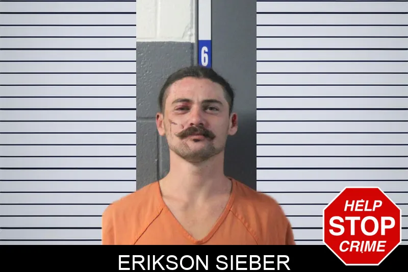 Erikson Sieber mugshot
