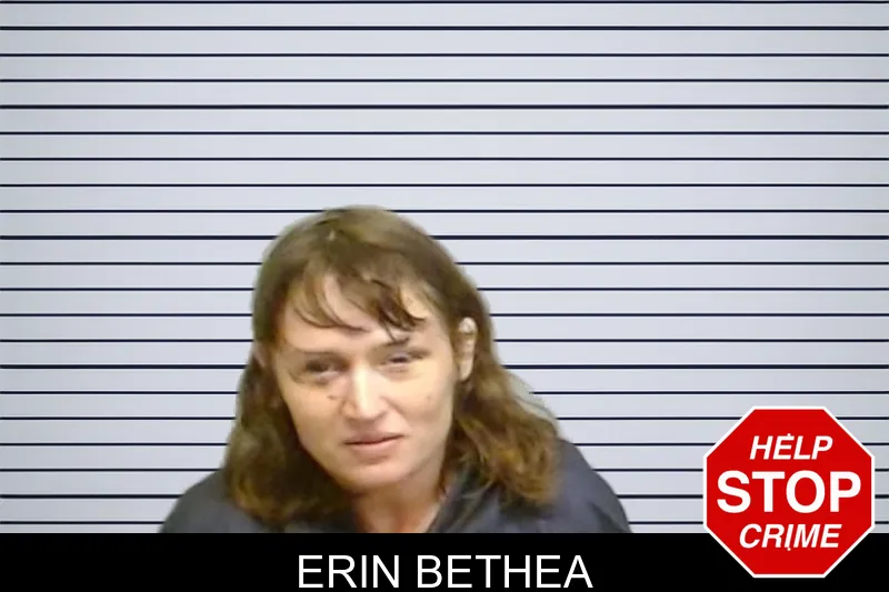 Erin Bethea mugshot – Fulton County , Georgia Erin Bethea mugshot