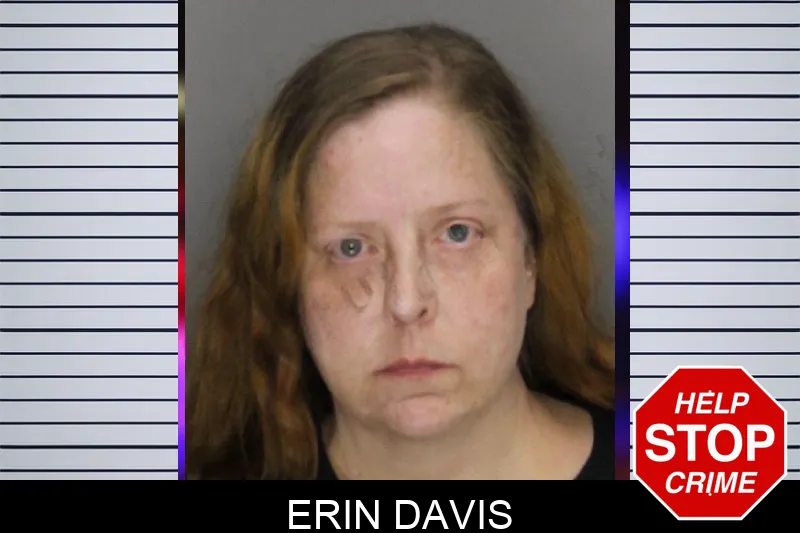 Erin Davis mugshot – Cobb County , Georgia Erin Davis mugshot