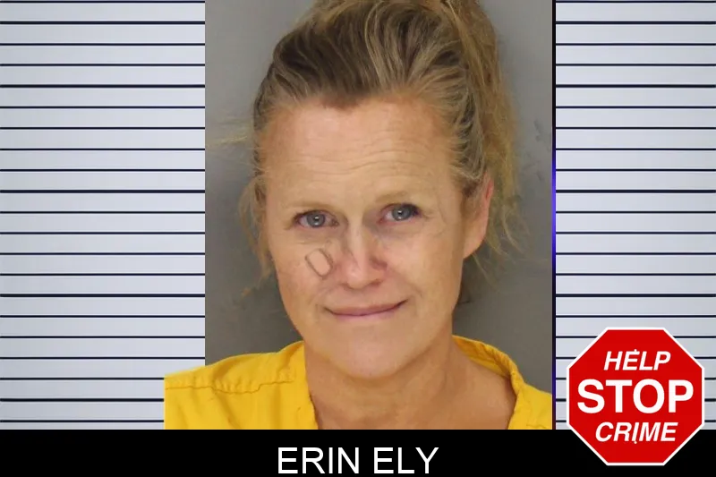 Erin Ely mugshot