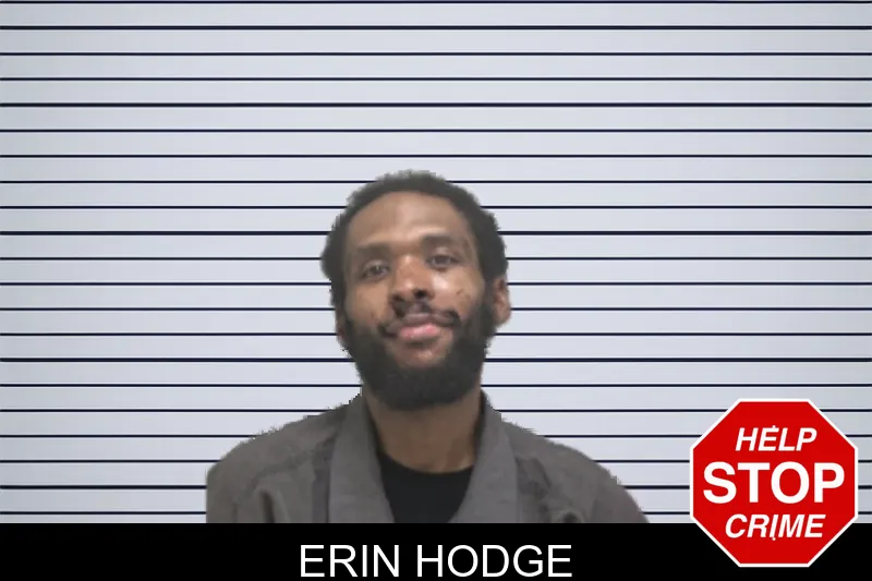 Erin Hodge mugshot