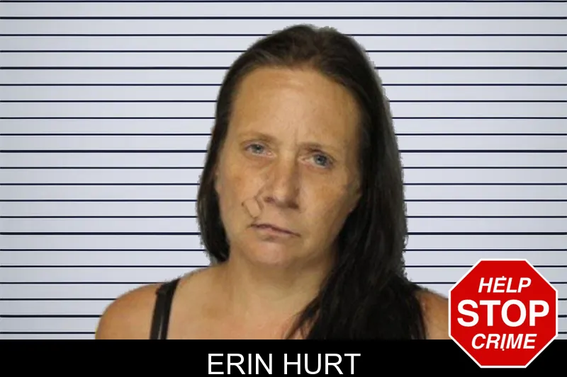 Erin Hurt mugshot – Hall County , Georgia Erin Hurt mugshot