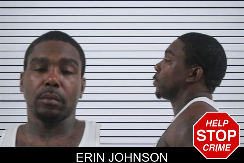 Erin Johnson mugshot