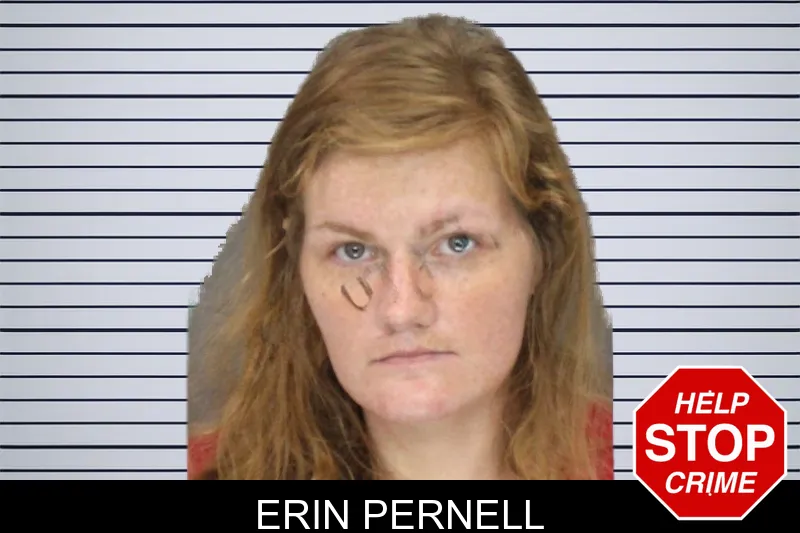 Erin Pernell mugshot – Cobb County , Georgia Erin Pernell mugshot