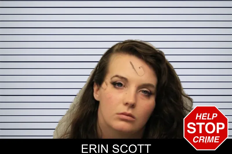 Erin Scott mugshot