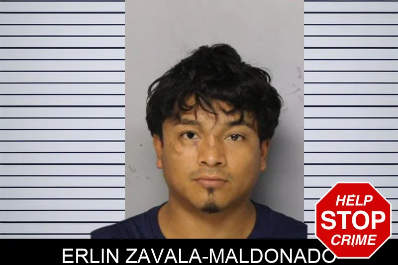 Erlin Zavala-Maldonado mugshot – Hall County , Georgia Erlin Zavala-Maldonado mugshot