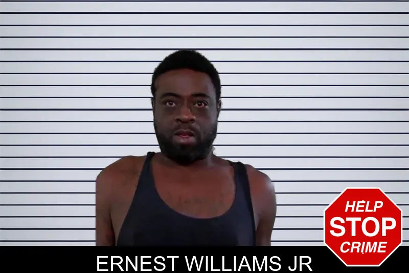 Ernest Williams Jr mugshot