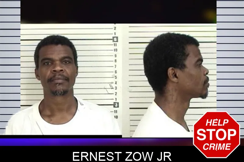 Ernest Zow Jr mugshot – Camden County , Georgia Ernest Zow Jr mugshot