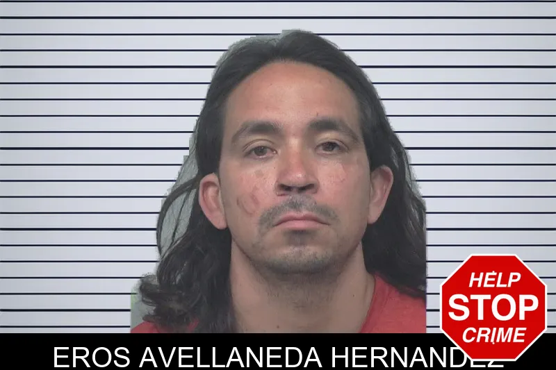 Eros Avellaneda Hernandez mugshot – Gwinnett County , Georgia Eros Avellaneda Hernandez mugshot