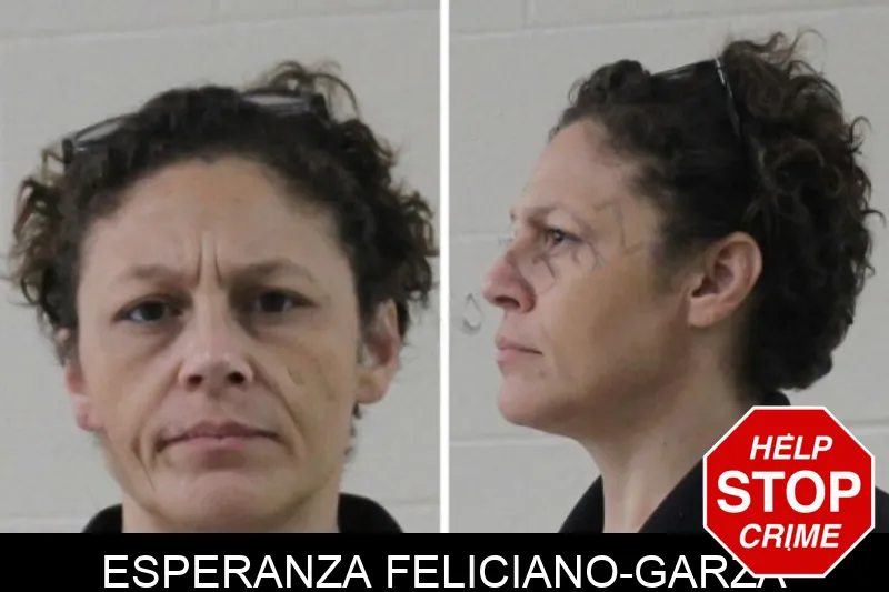 Esperanza Feliciano-Garza mugshot – Houston County , Georgia Esperanza Feliciano-Garza mugshot