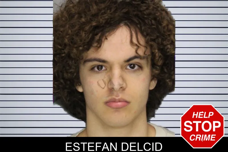 Estefan Delcid mugshot