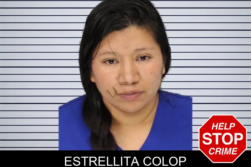 Estrellita Colop mugshot – Cobb County , Georgia Estrellita Colop mugshot
