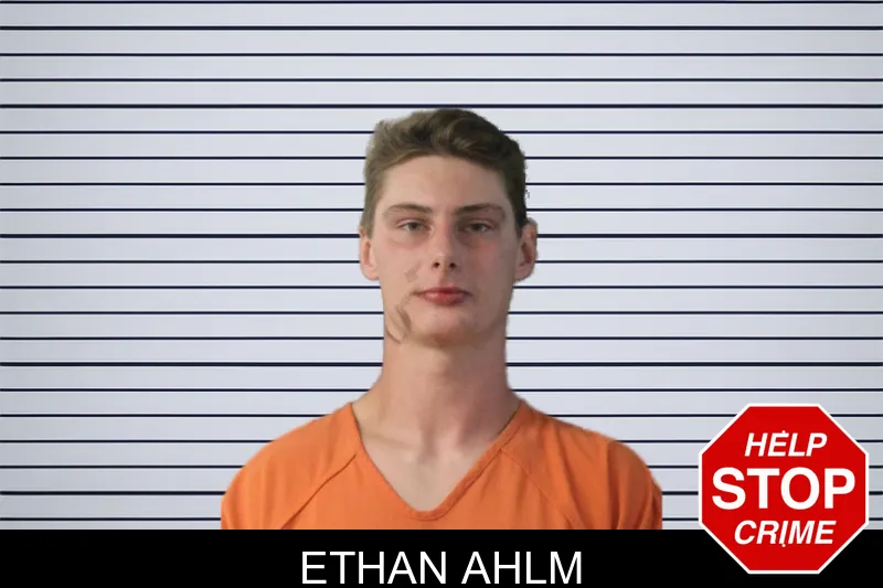 Ethan Ahlm mugshot