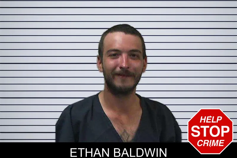 Ethan Baldwin mugshot – Gilmer County , Georgia Ethan Baldwin mugshot