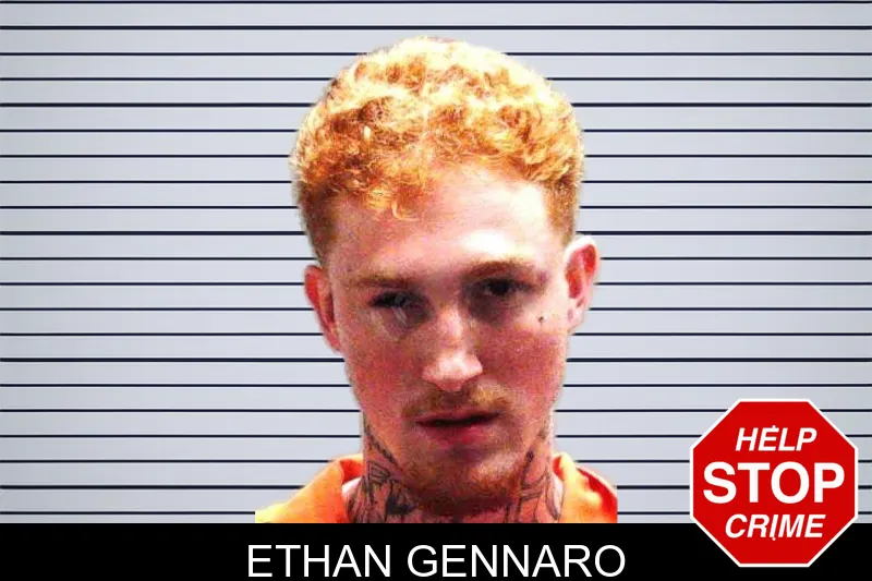 Ethan Gennaro mugshot – Burke County , Georgia Ethan Gennaro mugshot