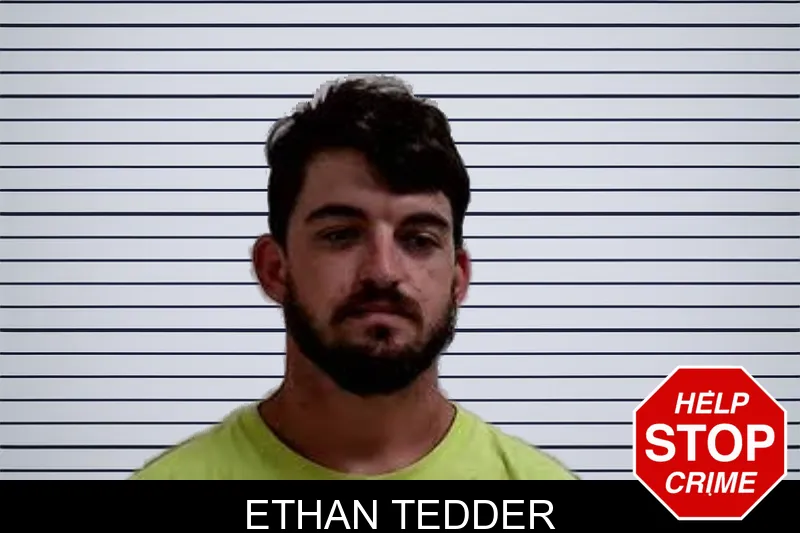 Ethan Tedder mugshot