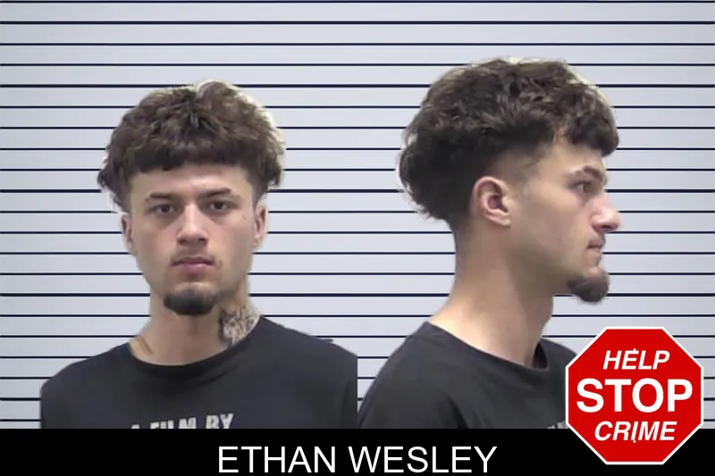 Ethan Wesley mugshot