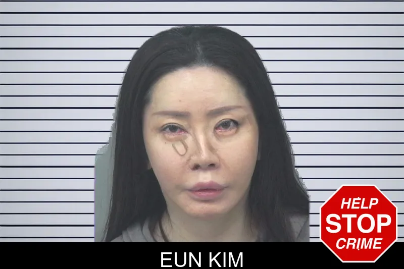 Eun Kim mugshot – Gwinnett County , Georgia Eun Kim mugshot