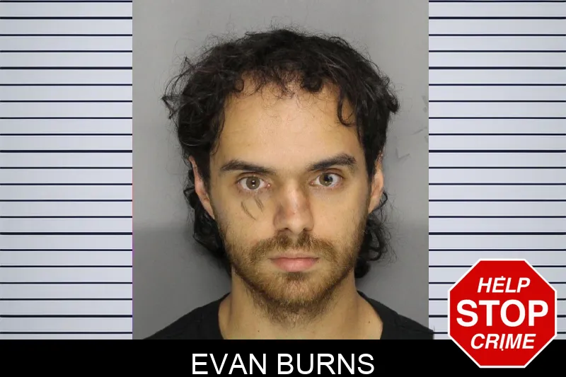 Evan Burns mugshot – Cobb County , Georgia Evan Burns mugshot
