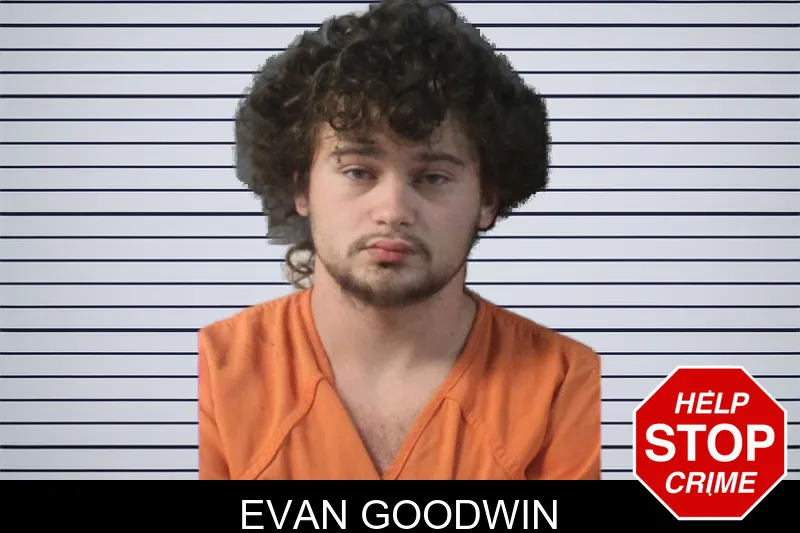Evan Goodwin mugshot – Lumpkin County , Georgia Evan Goodwin mugshot