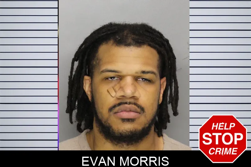Evan Morris mugshot – Cobb County , Georgia Evan Morris mugshot