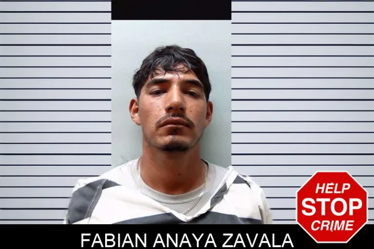 Fabian Anaya Zavala