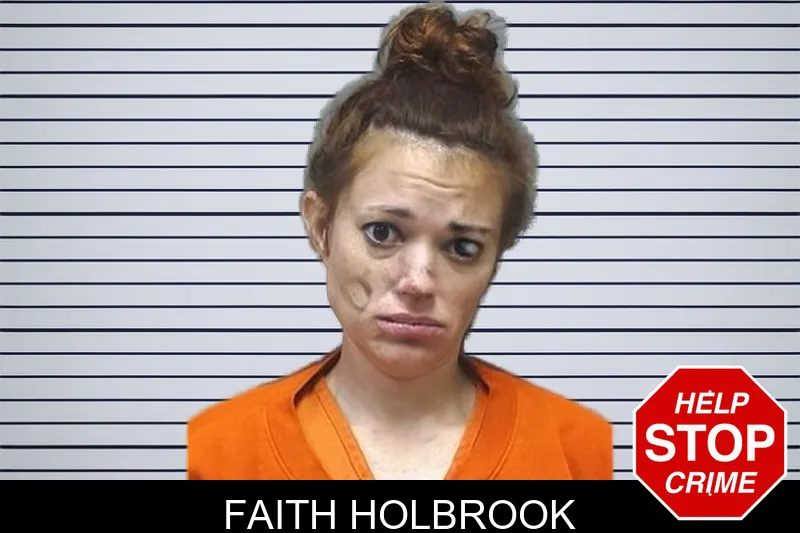 Faith Holbrook mugshot – Cherokee County , Georgia Faith Holbrook mugshot