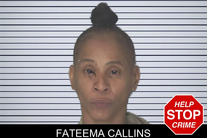 Fateema Callins mugshot