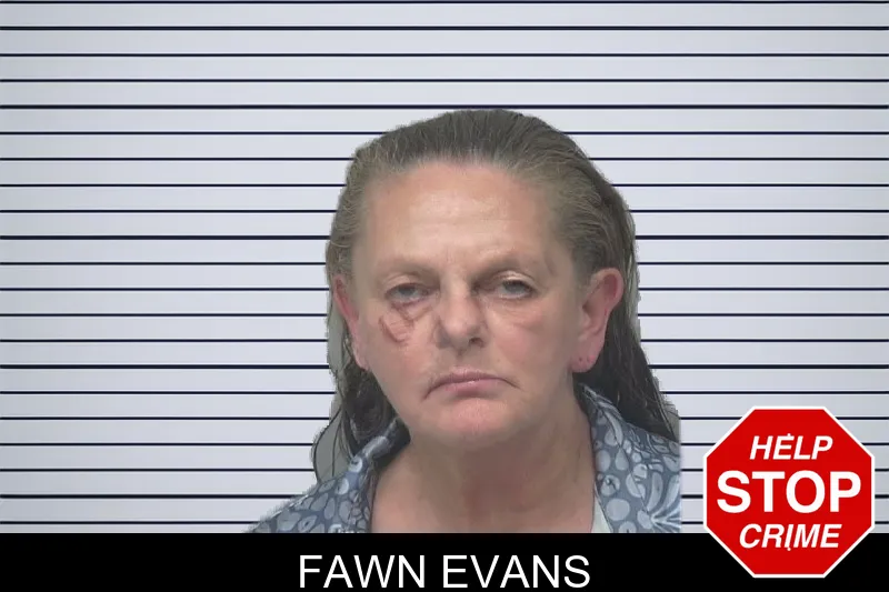 Fawn Evans mugshot