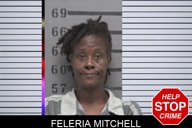 Feleria Mitchell mugshot – Dougherty County , Georgia Feleria Mitchell mugshot