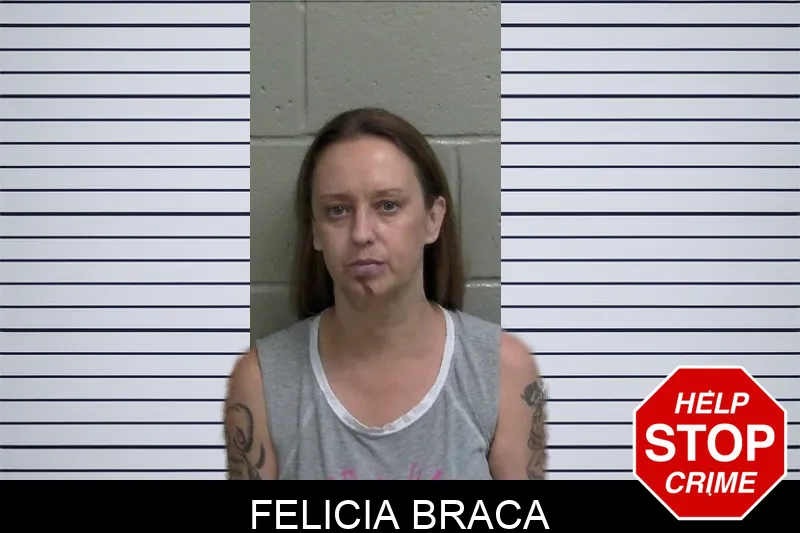 Felicia Braca mugshot – Wayne County , Georgia Felicia Braca mugshot