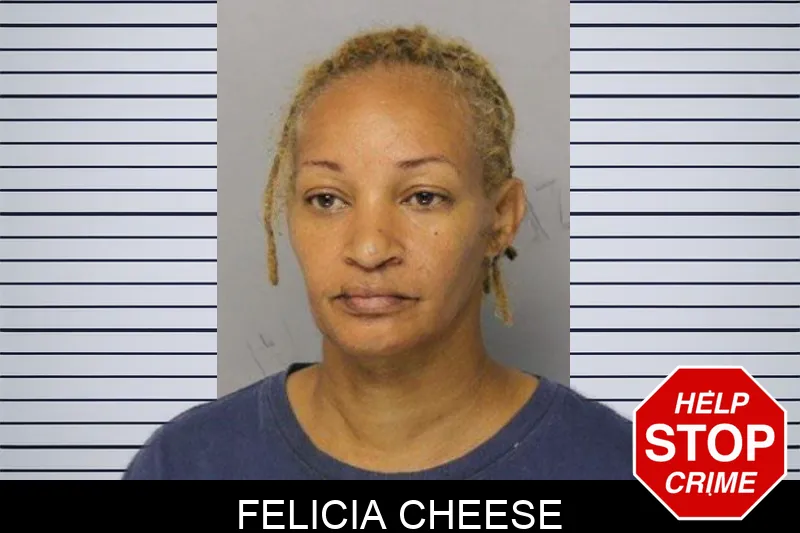 Felicia Cheese mugshot – Hall County , Georgia Felicia Cheese mugshot
