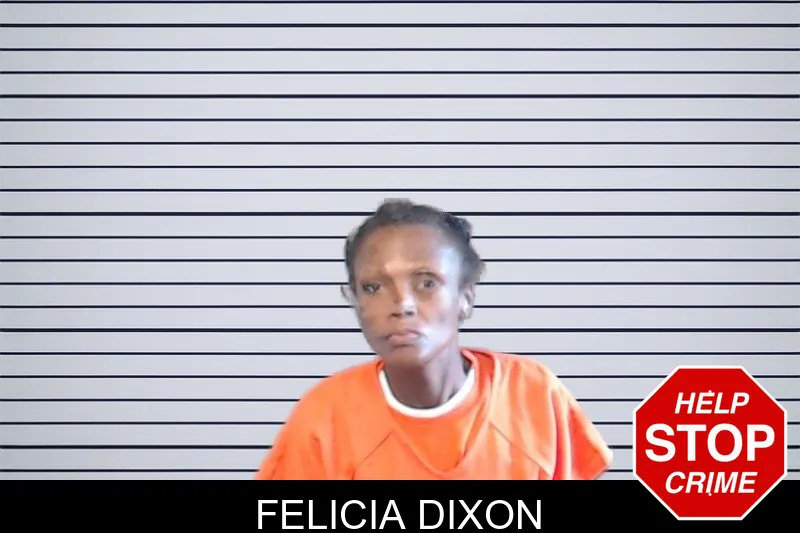 Felicia Dixon mugshot