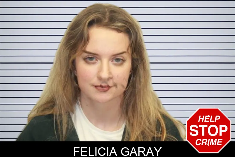 Felicia Garay mugshot – Chatham County , Georgia Felicia Garay mugshot