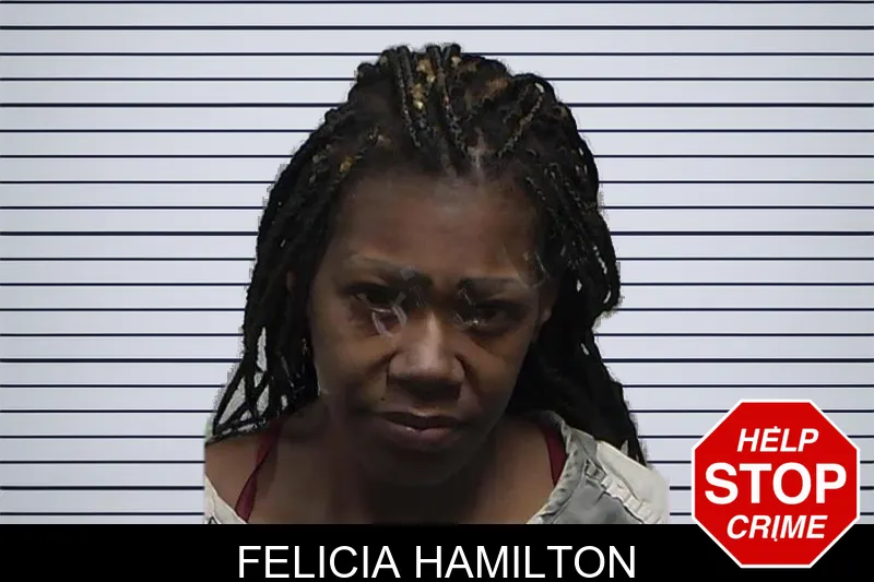 Felicia Hamilton mugshot – Tift County , Georgia Felicia Hamilton mugshot