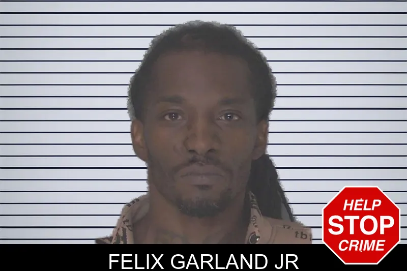 Felix Garland Jr mugshot