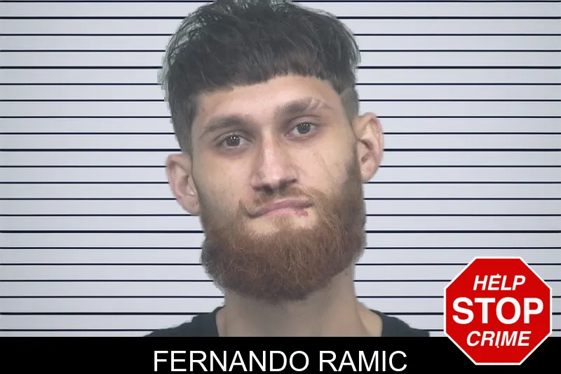 Fernando Ramic mugshot – Gwinnett County , Georgia Fernando Ramic mugshot