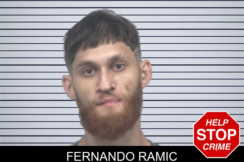Fernando Ramic mugshot – Gwinnett County , Georgia Fernando Ramic mugshot