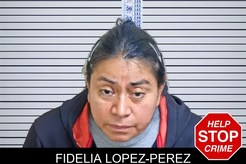 Fidelia Lopez-Perez mugshot – Gwinnett County , Georgia Fidelia Lopez-Perez mugshot