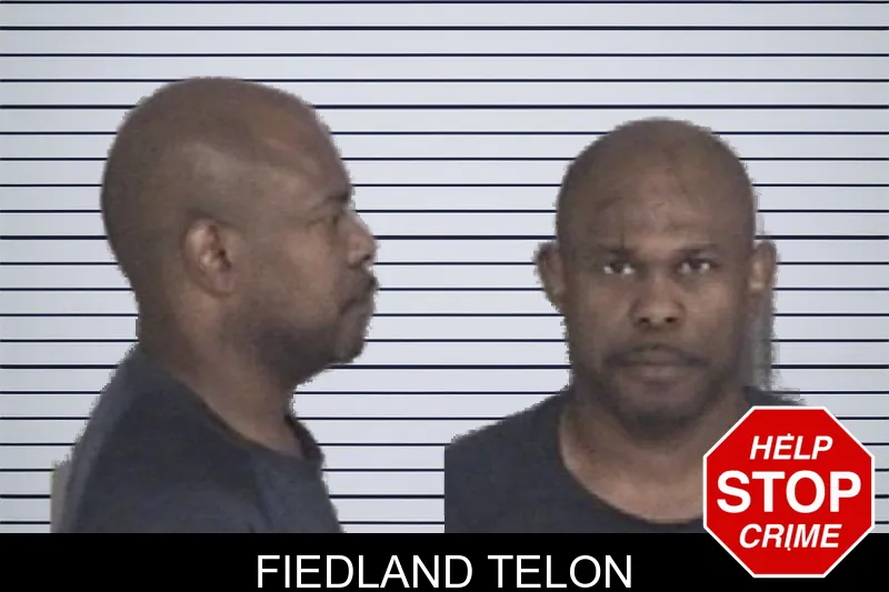 Fiedland Telon mugshot – Barrow County , Georgia Fiedland Telon mugshot