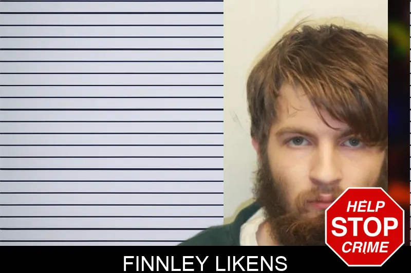 Finnley Likens mugshot – Chatham County , Georgia Finnley Likens mugshot
