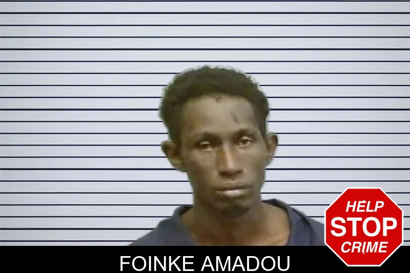 Foinke Amadou mugshot – Fulton County , Georgia Foinke Amadou mugshot